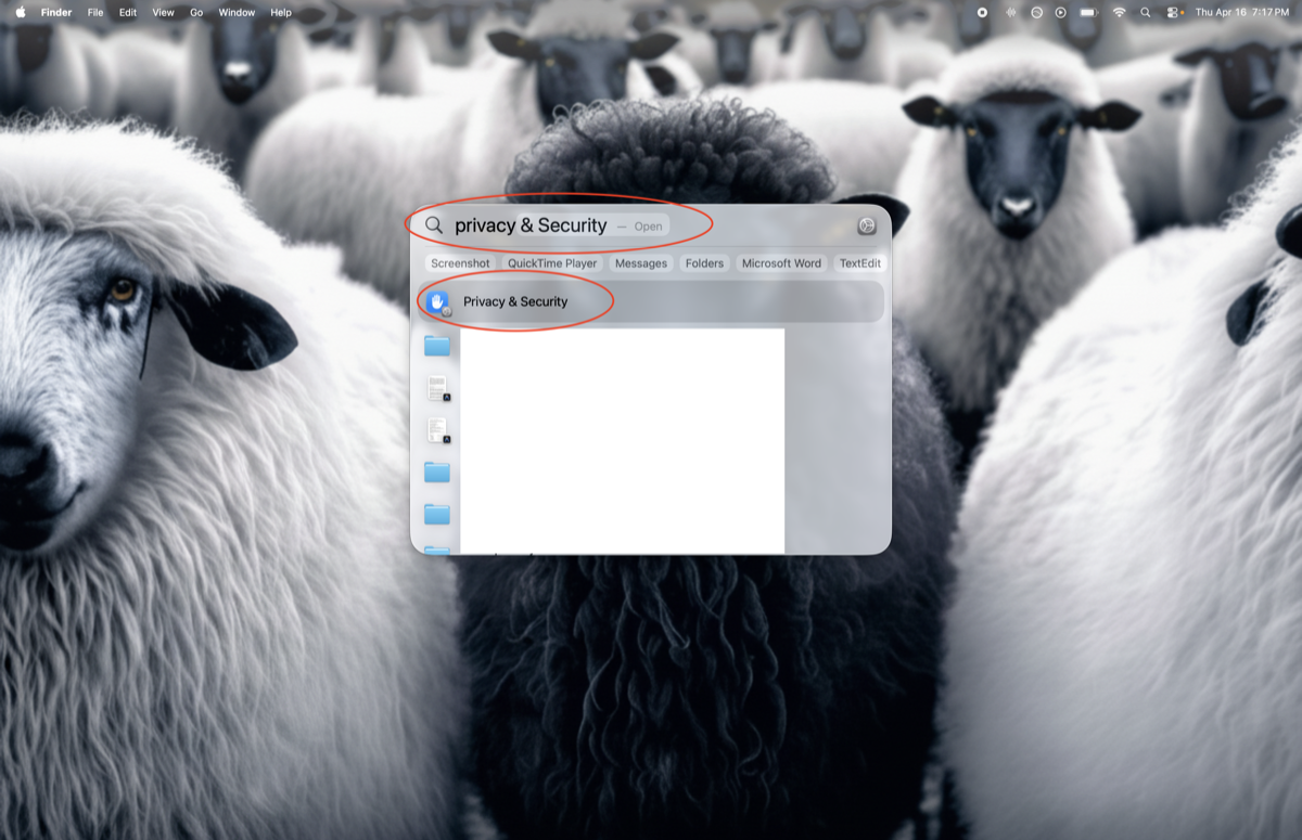 Spotlight search with the word privacy typed in