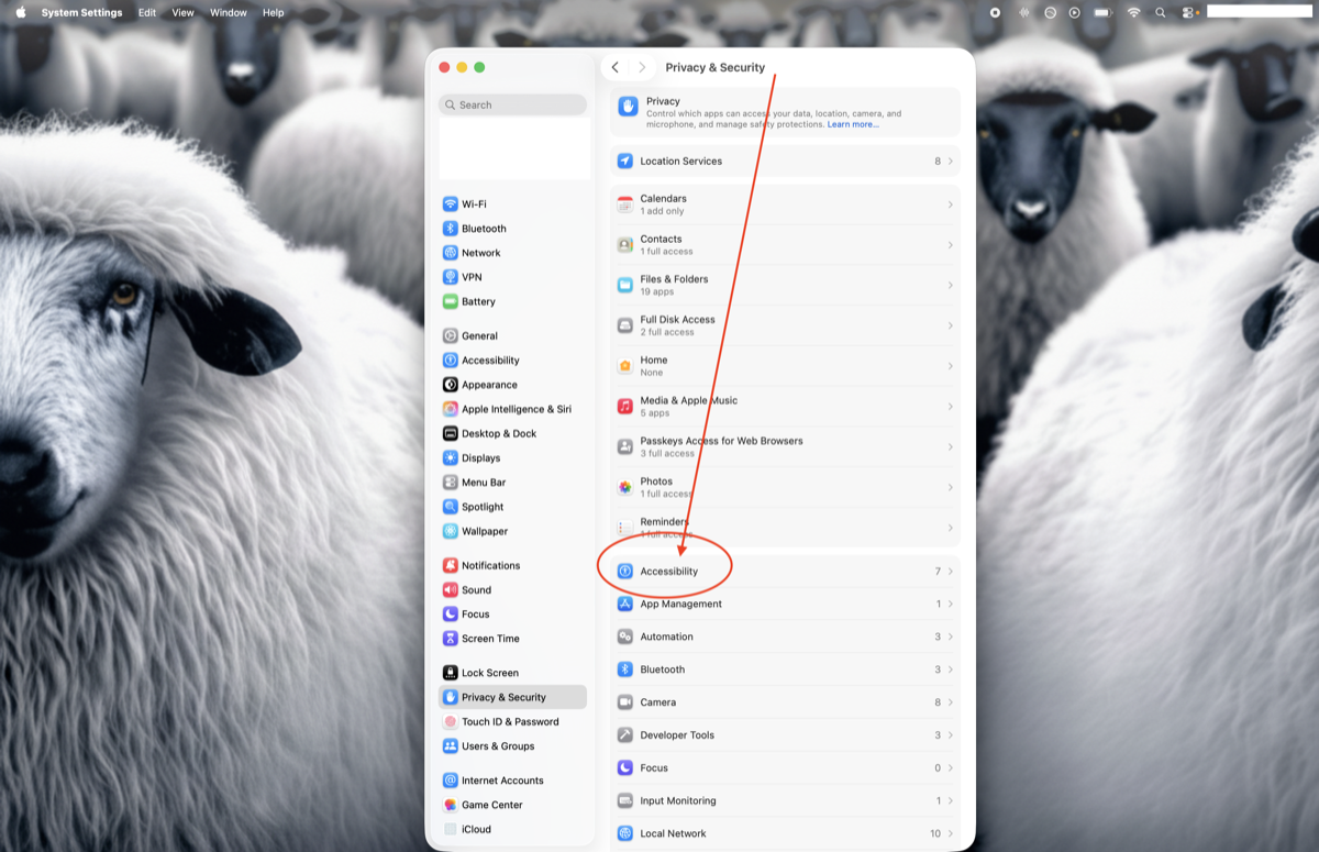 Privacy and Security settings pane with Accessibility row