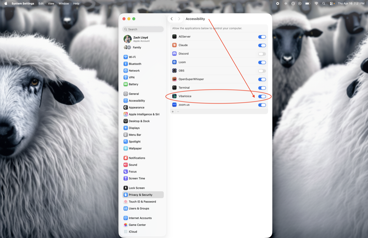 Accessibility list showing VibeVoice with its toggle